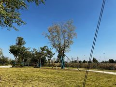 -南京金牛湖风景区