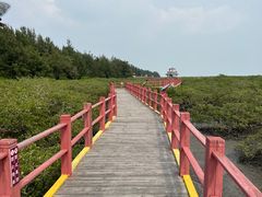 -北海金海湾红树林生态旅游区