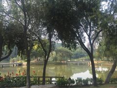 悦华酒店-厦门悦华酒店