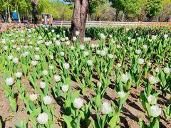 -长春公园(普阳街道)