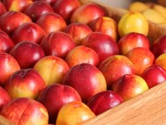 -厦门海景千禧大酒店·海景咖啡厅