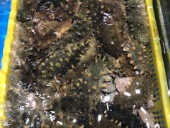 -旺角小渔村(幸福中路店)