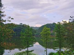 -广州市石门国家森林公园