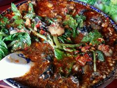 android_upload_pic-苍洱春饭店