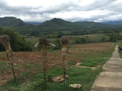 -黄色小屋