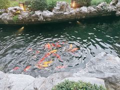-荣府宴(南阳路店)