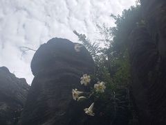 -梭布垭石林景区