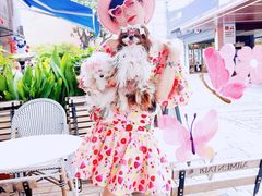 -Alimentari Mulino意大利餐吧&烘焙(丰盛里店)