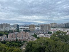 -福道