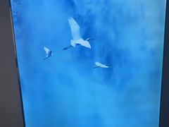 -鹤祥宫·影院足道·SPA连锁(沙井店)