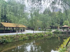 -重庆彩云湖湿地公园