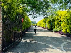 -金谷域澳洲庄园