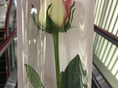 -大鼓米线(常州钟楼新世纪DM店)