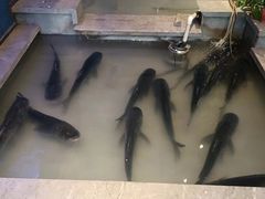 -鲜惠德酒楼(鲜小馆店)