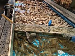 -一方渔歌蒸汽海鲜自助(文化路万达广场店)