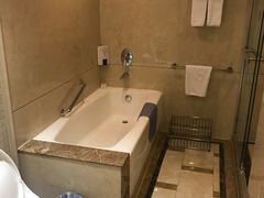 -圣爵菲斯大酒店(长沙世界之窗店)