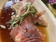 -湛江渔港·大排档(乐园路总店)
