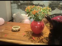 -赣悦轩·四季小馆