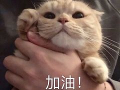 -满记甜品(万象城店)