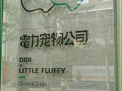 -電力宠物公司(武定路店)