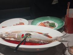 -醉庐·新上海菜(南京西路店)