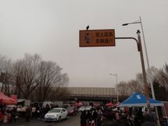 -蒲河大集