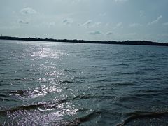-丁香湖公园