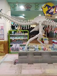 -万达宝贝王(南昌西湖店)