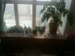 -木子陶艺(春熙路店)