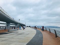 -演武大桥观景平台