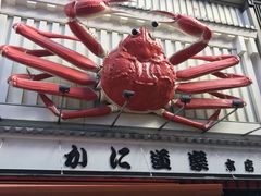 -蟹道乐(道顿堀本店)