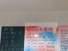 -老袁家蜜桃农场·阳山水蜜桃