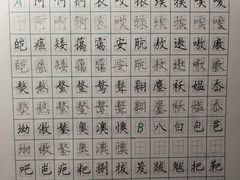 -赵汝飞练字(南京路国际贸易中心校区)