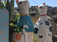 -猫咪博物馆(顶澳仔猫街店)