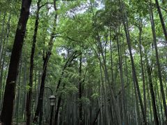-杭州黄龙洞