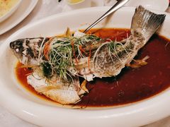-酌宴府The China Club·广州万富希尔顿酒店(云城东路店)