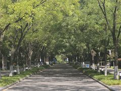 -城市运动公园(未央区)
