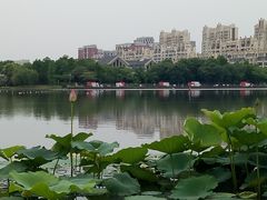 -南翔镇银翔湖公园