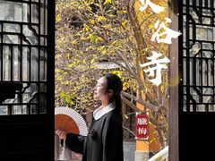 -灵谷景区
