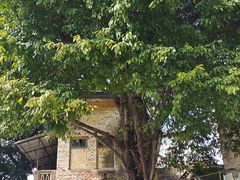 -广州市紫泥堂文化创意园景区