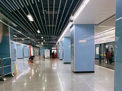 -大龙山(地铁站)