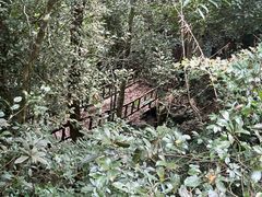 -七仙岭温泉国家森林公园