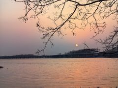 -丁香湖公园