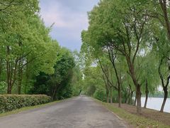 -太阳岛度假酒店