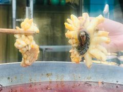 -重庆乌鱼庄·龙滋鲜(青羊大道店)