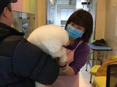 -北京观赏动物医院·24小时大型综合·猫专科·异宠专科