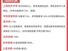 -菠萝国际教育专注Alevel·IGCSE·IB·AP·托福雅思培训辅导(静安校区)