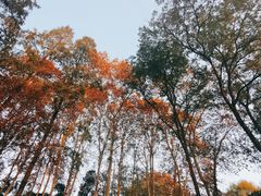 -T80科技文化国际社区-停车场