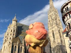 -斯蒂芬主教座堂(Stephansdom)
