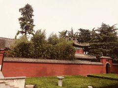 -洛阳白马寺